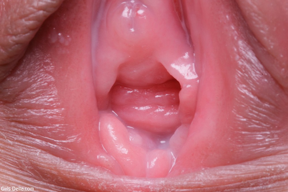 inside-pussy-up-close-free-closeup-pussy-video