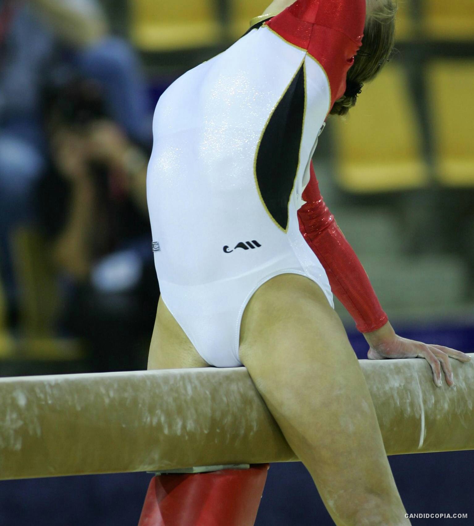 1535px x 1705px - Mixed Set of Amateur Nonnude Gymnasts with Cameltoe Wearing Leotard - TGP  gallery #132971